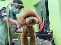 -沐沐家宠物(成寿寺店)