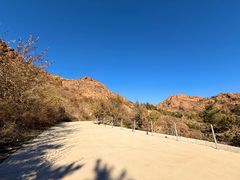 -红山国家森林公园