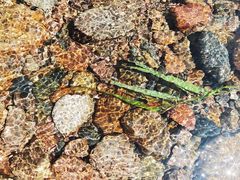 -本溪老边沟风景区