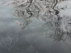 -百泉景区
