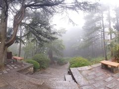 -庐山风景区花径公园