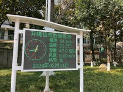 -神仙树公园