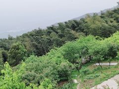 -缙云山景区
