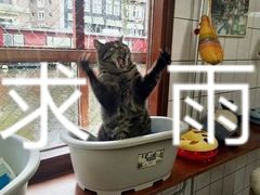 -萨莉亚意式餐厅(浦江万达广场店)