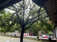 -宝光寺