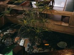 -佬麻雀·新湘菜(珠海金发购物中心店)