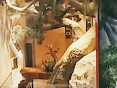 -木子塘汗蒸生活馆(财富港店)