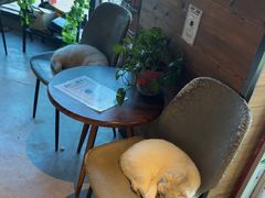 -木沐影咖(鑫乐汇购物广场店)