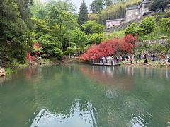 -莫干山风景区