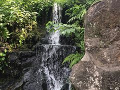 -海口火山口国家地质公园