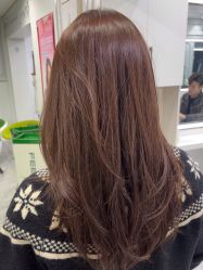 -镁连社·美联社
