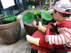 -钱江新城