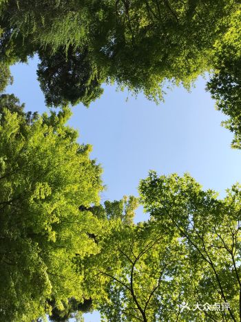 镰仓不止有灌篮高手，还有长谷寺