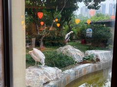 -熊猫自助餐厅.萌趣城堡(长隆熊猫酒店)