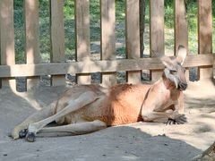 -水上乐园·欢乐世界