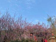 -无锡梅园公园