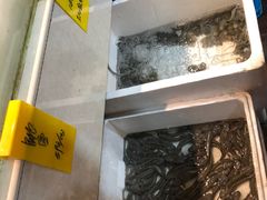 -星龙海鲜(望江东路店)