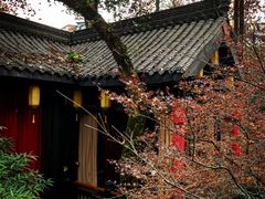 -鱼桥巷·美学川菜