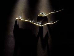 -和枫(众意路店)