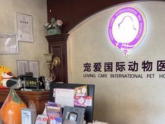 -宠爱国际动物医院·疑难骨科·心肾内科·皮肤科(太阳宫店)