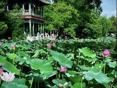 -莲池书院博物馆