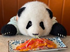 -極上萬膳·日料放题(来福士江景店)