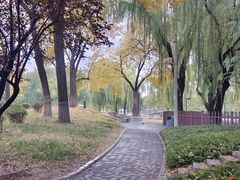 -丰台花园