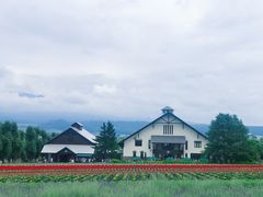 -富田农场