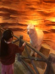 -酷嗒动物文化乐园(cutezoo西溪乐天城店)