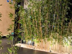 -新紫霞养生·影院足道·SPA(金山区店)