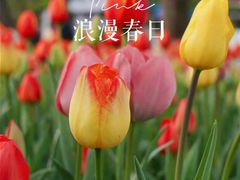 -大宁公园