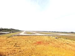 -空港花田景区