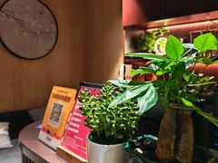 -聆耳·采耳·按摩·SPA(会展中心店)