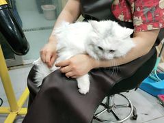 -宠福鑫康馨动物医院·骨科·眼科