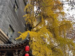 -成都蓝城悦杏温泉美食酒店(宽窄巷子店)