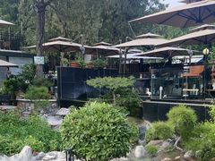 -蘇河湾·新鲁菜·泰山宴(泰山店)