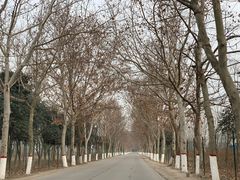 -汉长安城未央宫国家考古遗址公园