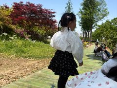 -苏州上方山国家森林公园