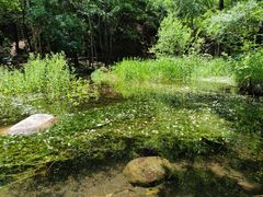 -玉渡山自然风景区