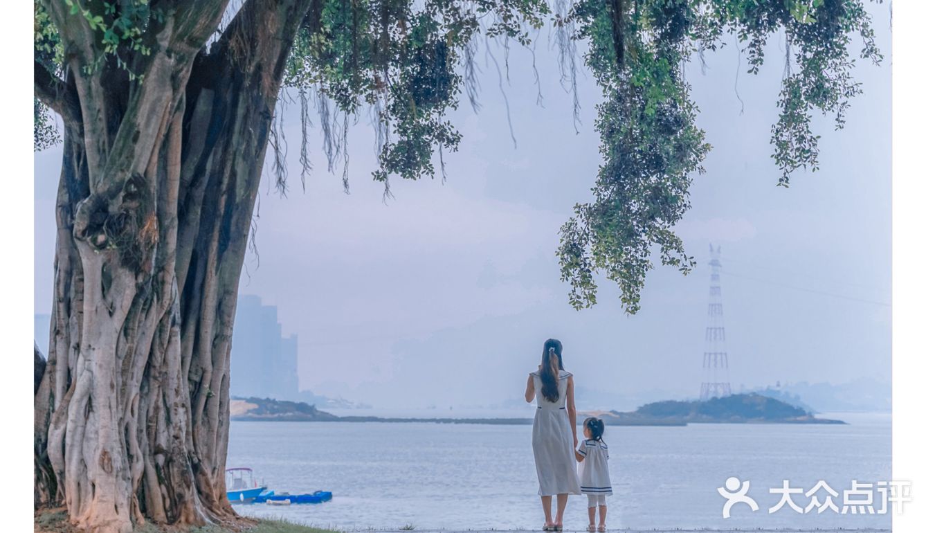 厦门拍照|来海边探-影视剧取景地