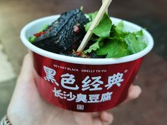 -黑色经典臭豆腐·湖南特产(潇湘文化店)