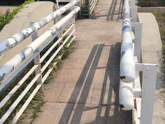 -新江湾城公园