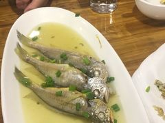 -食海部落