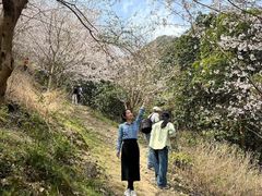 -四明山国家森林公园