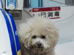 -北京观赏动物医院·24小时大型综合·猫专科·异宠专科