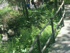 -清江方山景区