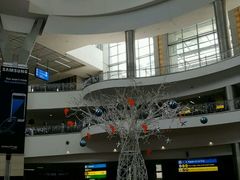 -奥利弗·雷金纳德·坦博国际机场