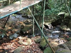 -莫里热带雨林景区