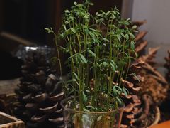 -饵块食光·云南有机手作饵块