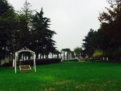 -上海市保健医疗中心(华东疗养院)